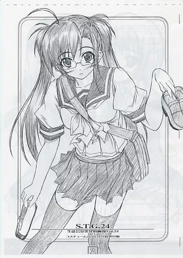 S.T.G.24_image