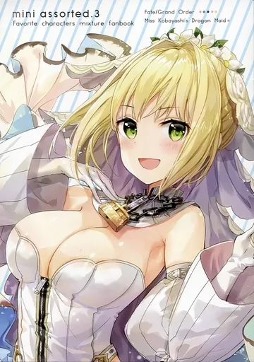 Fate 【冊子単品】mini assorted. 3 / ふーみ / ラジアルエンジン