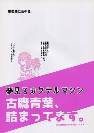 艦隊これくしょん 夢見るカクテルマシン / 沢村青 / 適齢期に食中毒