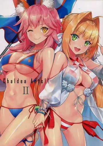 Fate Chaldea Arts!! Ⅱ / かがちさく / もふまる屋
