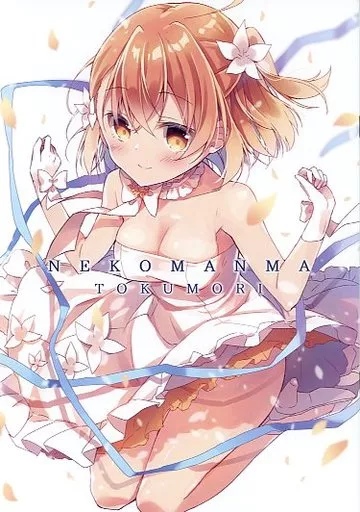 よろず 【冊子単品】NEKOMANMA TOKUMORI / あまみね / あまみねこカフェ