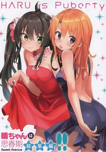 晴ちゃんは思春期 総集編！！_image