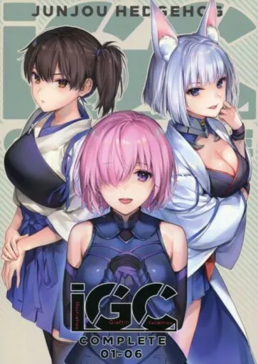 IGC COMPLETE 01－06_image