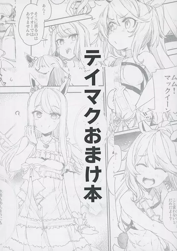 その他ゲーム テイマクおまけ本 / 日鳥 / 日々鳥々