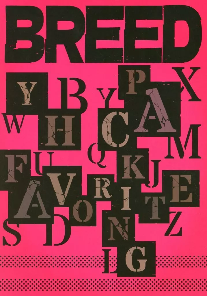 BLEACH PACKING YH FAVORITE / バザード・ブラック / BREED