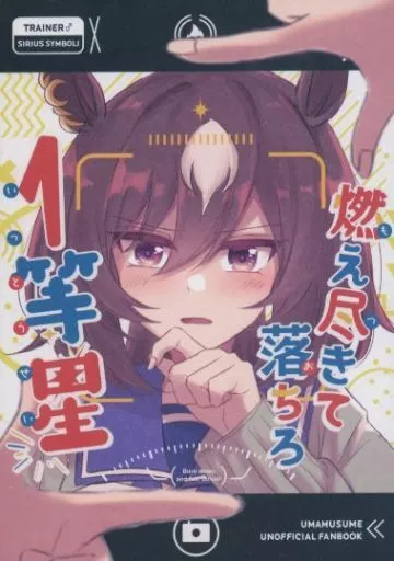 燃え尽きて落ちろ一等星 – その他ゲーム