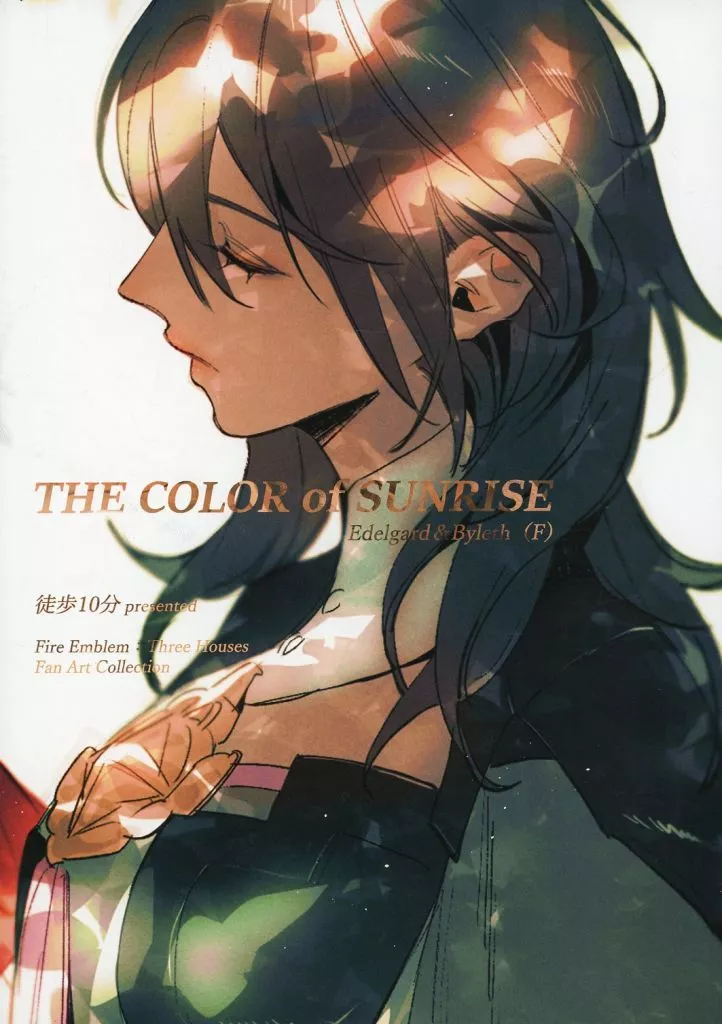 FE　ファイアーエムブレム THE COLOR of SUNRISE / 徒歩10分 / TRY‐angle‐2
