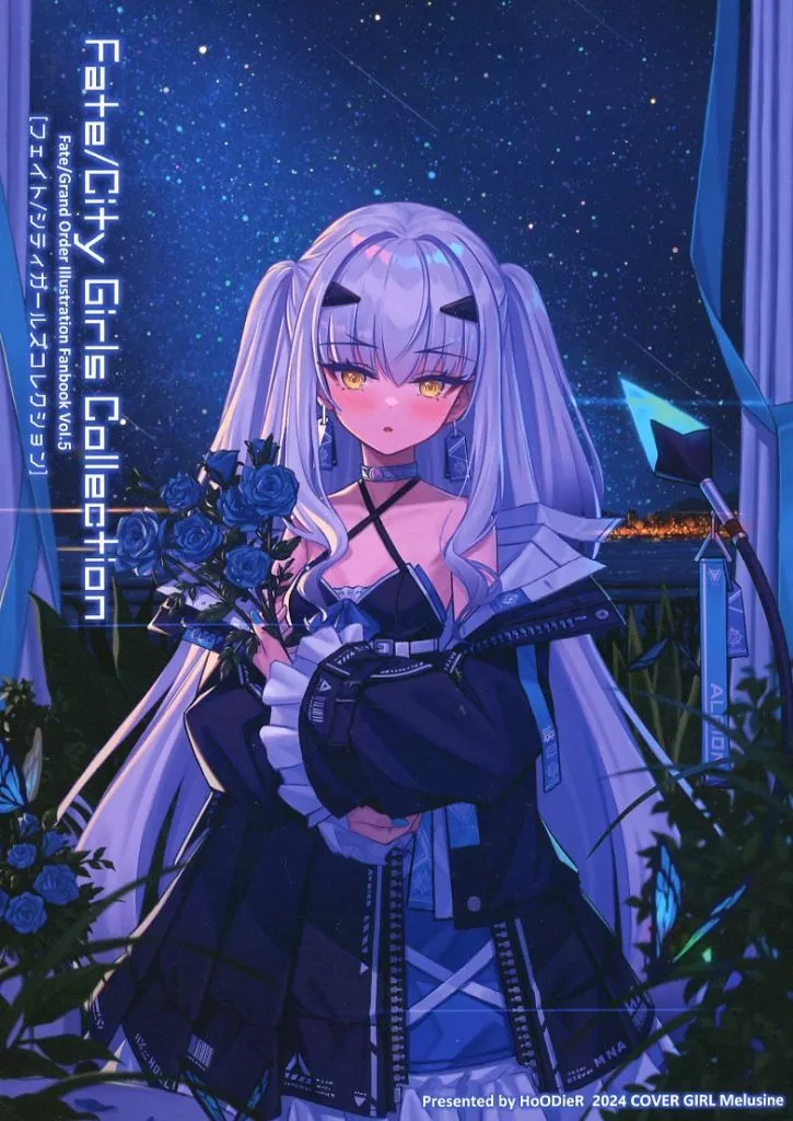 Fate Fate/City Girls Collection vol.05 / HoODieR / Hoodier Collection