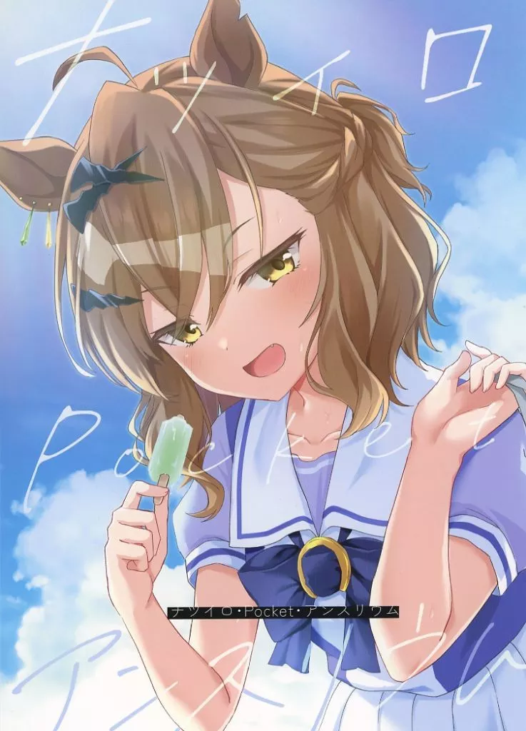 その他ゲーム ナツイロ・Pocket・アンスリウム / りょちゃぷ / キョダイチチモミ