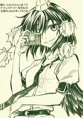 やったね文ちゃん後づけダブルスポイラー発売記念金閣寺よ私は帰ってきた本 – 東方