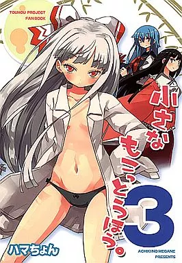 東方 小さなもこっとうほう 3 / ハマちょん / あちきのめがね