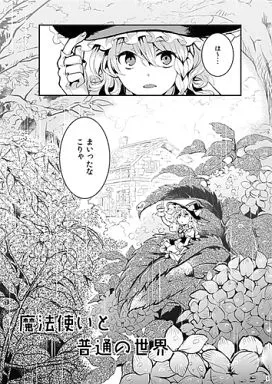 東方 魔法使いと普通の世界 / シノアサ / ビビットグレー