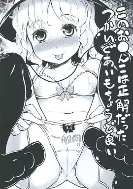 東方 【単品】このお●んこは正解だったつかいぐあいもちょうど良い / 晧 / あなたを、廃人です。