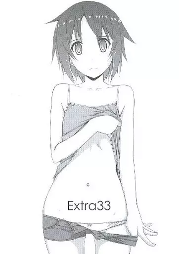 Extra 33_image