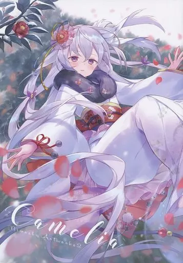 オリジナル 【冊子単品】Camelia Nimoshi Artworks 2 / にもし / Molamola