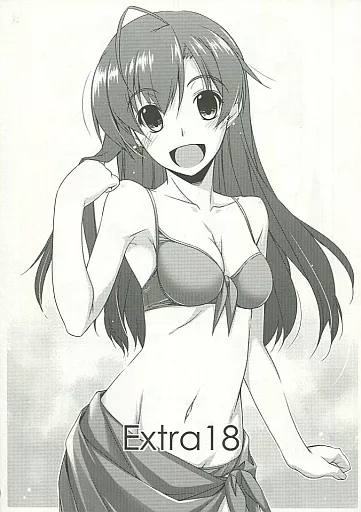 Extra 18_image