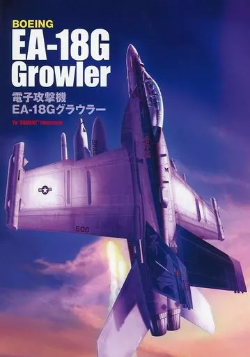BOEING EA－18G Growler 電子攻撃機EA－18Gグラウラー / 桑本悠 / Alert Hangar