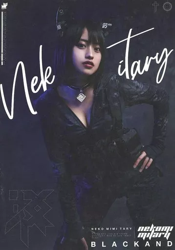 【オリジナル】 NEKOMIMITARY / かざりぷろじぇくと(直筆サイン有り(宛名なし))
