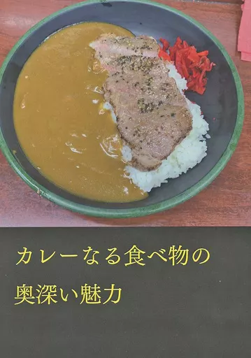 料理・グルメ カレーなる食べ物の奥深い魅力 / タケモト / CROSSNEXT