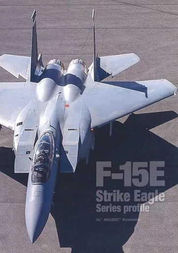 F－15E Strike Eagle series profile / AlertHangar