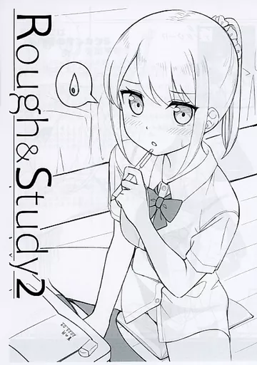 【コピー誌】Rough＆Study 2_image