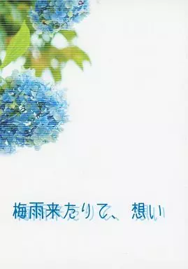 女性向け一般同人誌（BL含む）　<<銀魂>> 梅雨来たりて、想い / 樹里 （坂田銀時×土方十四郎） / 桜色ジャンキー