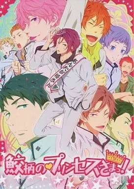 【RED様 専用ページ(※コメント逃げで残念です…)】Free! 松岡凛 駿河屋 -<中古><<Free！>> 鮫柄のプリンセスさまっ! / 玉川うた