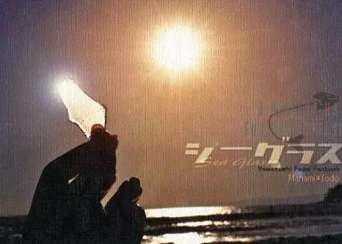 シーグラス_image