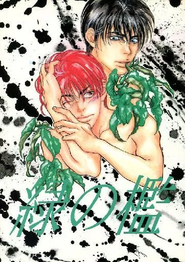 【スラムダンク】 緑の檻 / 未津摩せりん (流川楓×桜木花道) / BAROQUE