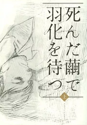 進撃の巨人 死んだ繭で羽化を待つ 上 / 北村 （エルヴィン×リヴァイ） / だから一体なんなんだ。