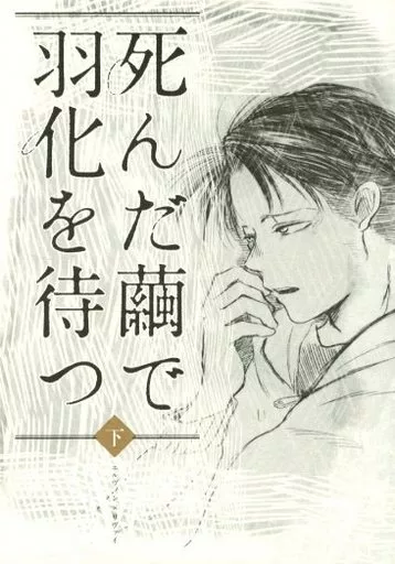 進撃の巨人 死んだ繭で羽化を待つ 下 / 北村 （エルヴィン×リヴァイ） / だから一体なんなんだ。