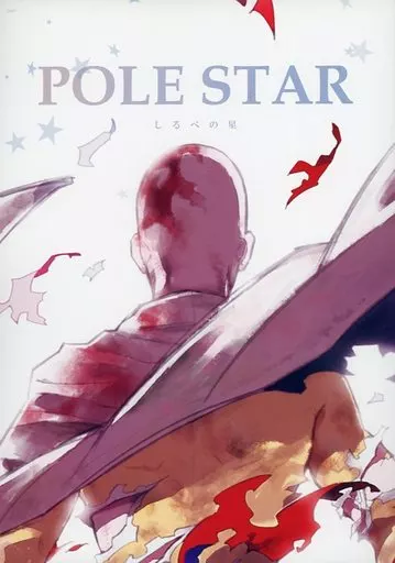 POLE STAR_image