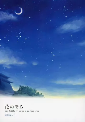 魔神英雄伝ワタル 花のそら 総集編・上 / わたなべろって (虎王×忍部ヒミコ) / RAINBOW LOTTEPIA
