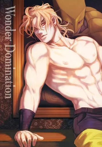 女性向け一般同人誌（BL含む）　<<ジョジョの奇妙な冒険>> Wonder Domination / 宮路 （ザ・ワールド×DIO） / BR