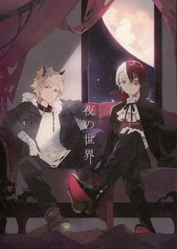 夜の世界 – 僕のヒーローアカデミア – 爆豪勝己 轟焦凍