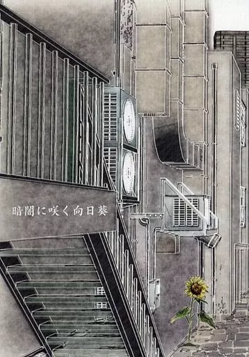 暗闇に咲く向日葵 （安室透×榎本梓）_image