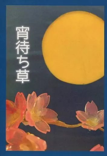 宵待ち草 – 名探偵コナン – 安室透 榎本梓