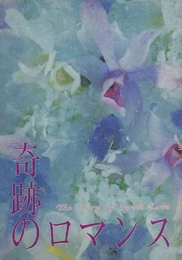 奇跡のロマンス – スラムダンク – 流川楓 桜木花道