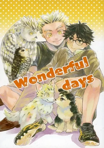 ハイキュー！！ Wonderful days / 仮 （木兎光太郎×赤葦京治） / L．G．C．