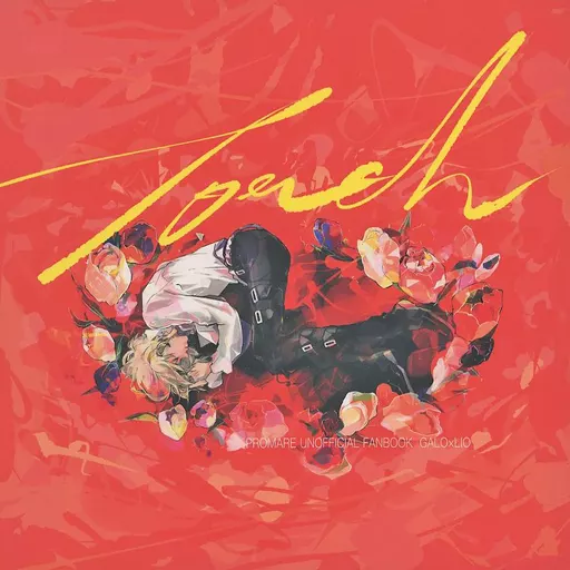torch – 最果てのパラディン – ガロ リオ