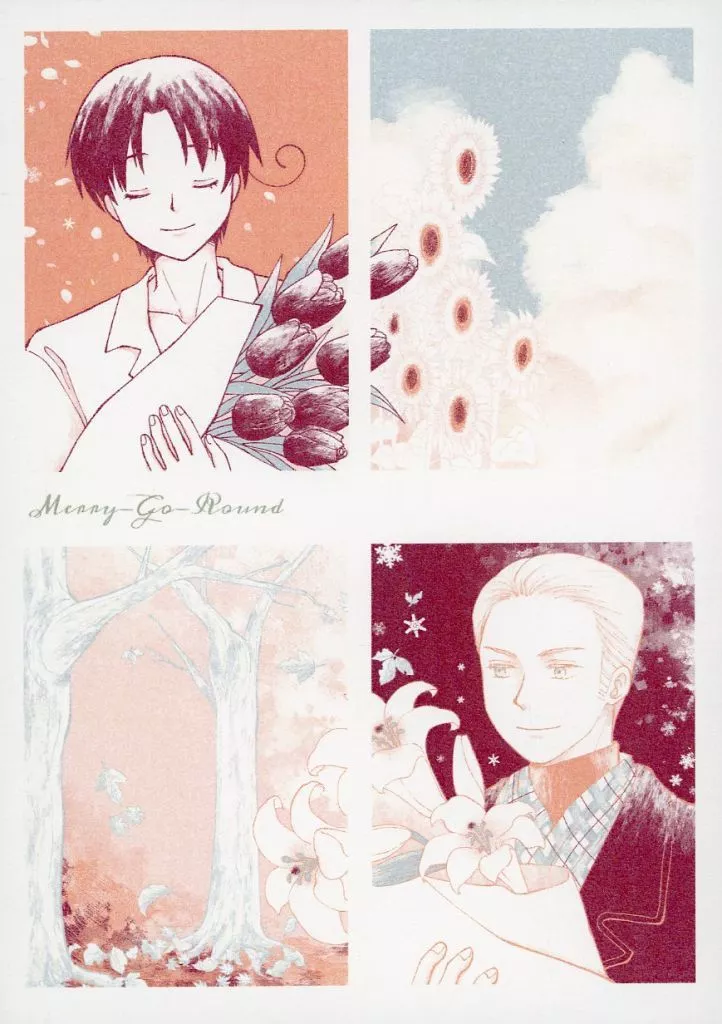 Merry‐Go‐Round_image