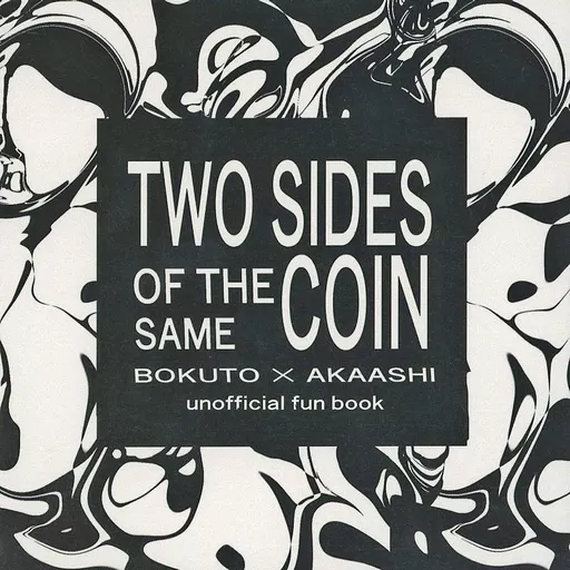 ハイキュー！！ TWO SIDES OF THE SAME COIN / yuki－paint5 （木兎光太郎×赤葦京治） / Radical Idea