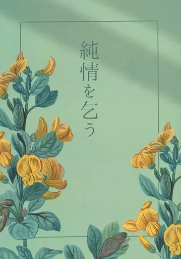 純情を乞う – ワンピース – ロー ゾロ