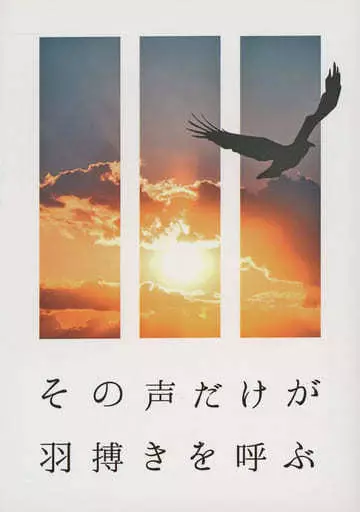 ハイキュー!! その声だけが羽搏きを呼ぶ / ゆりか (影山飛雄×日向翔陽) / 灯風船