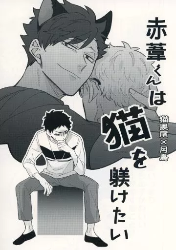 赤葦くんは猫を躾けたい – ハイキュー！！ – 黒尾鉄朗 月島蛍