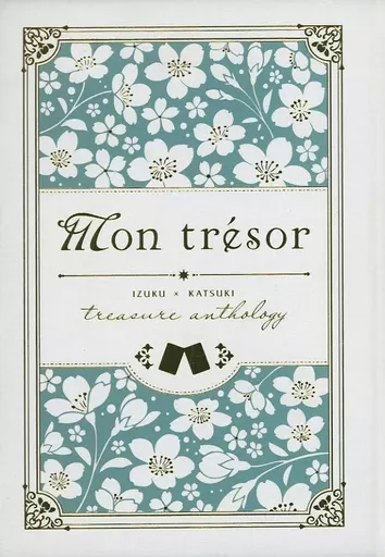 Mon tresor_image