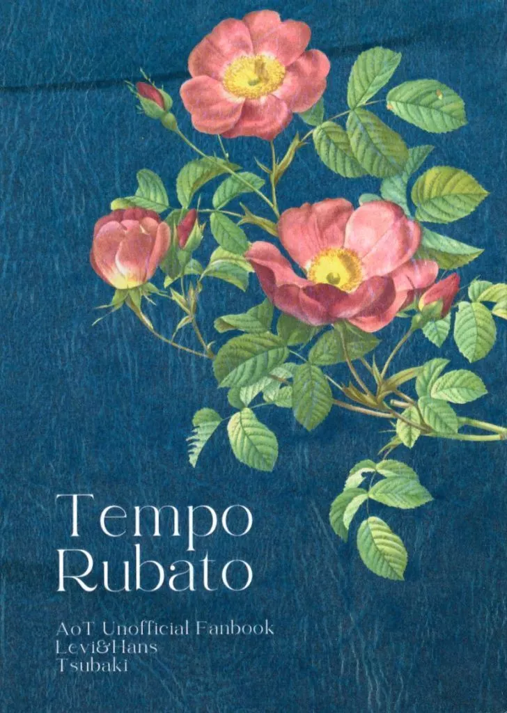 Tempo Rubato_image
