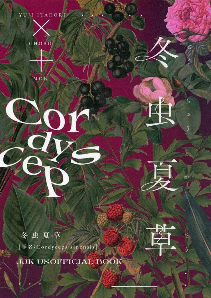 呪術廻戦 冬虫夏草 / 二水群 （虎杖悠仁×脹相） / 錆花