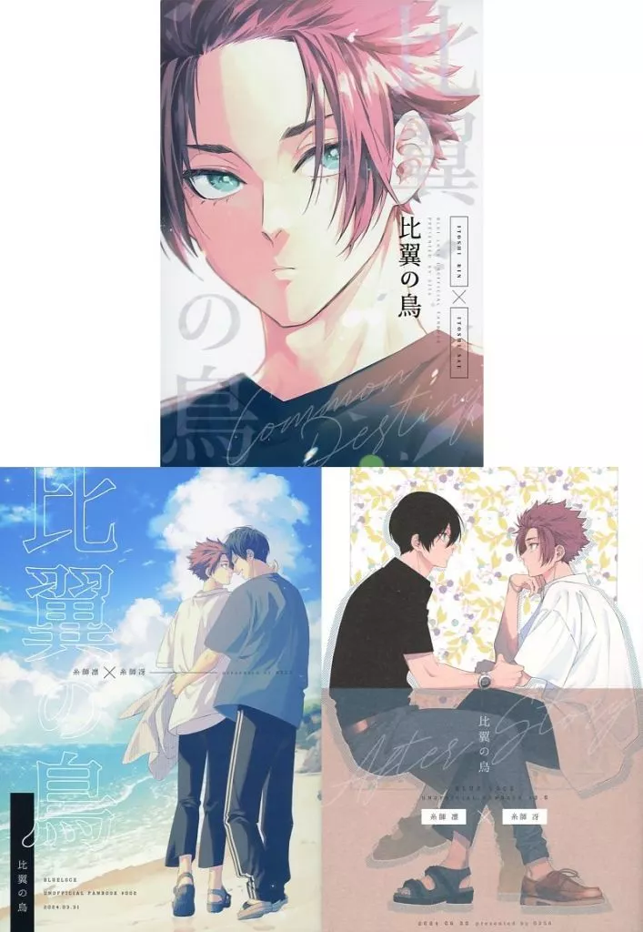 比翼の鳥 – ブルーロック – 糸師凛 糸師冴