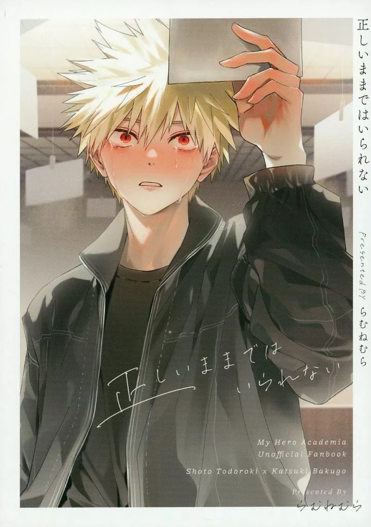 正しいままではいられない – 僕のヒーローアカデミア – 轟焦凍 爆豪勝己